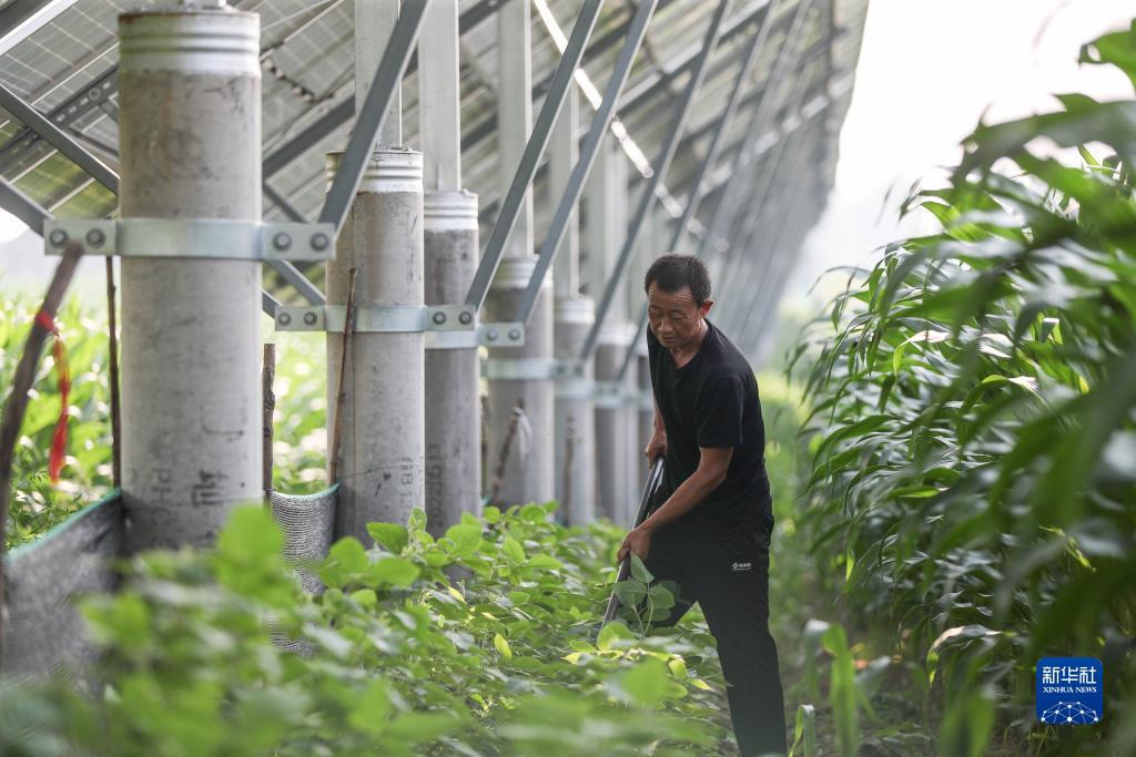 10博网址谁知道